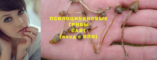 не бодяженный Богородицк