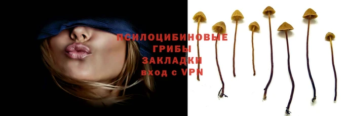 кокаин VHQ Белокуриха