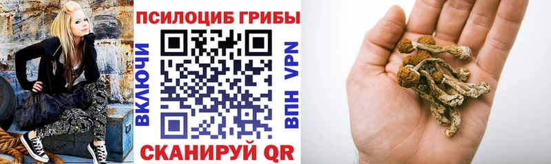 Галлюциногенные грибы Cubensis  Луховицы 